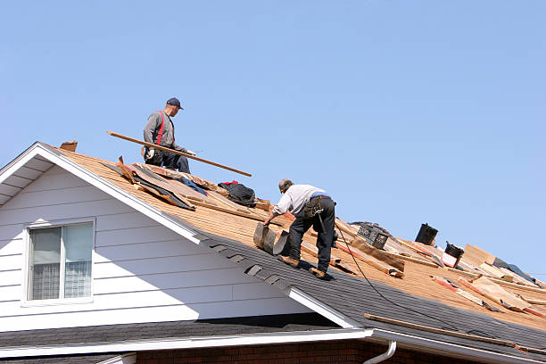 Best Roof Moss and Algae Removal  in Mount Sterling, KY